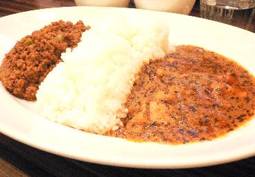 070424curry.JPG