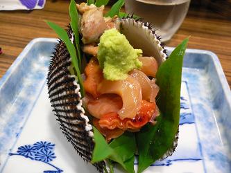 090509toriharu.jpg